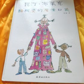 酷阿婆的魔法口袋 精装