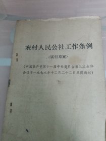 农村人民公社工作条例试行草案