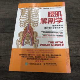 腰肌解剖学 缓解疼痛的腰肌保护与修复练习