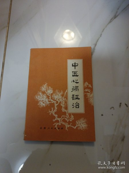 中医心病证治