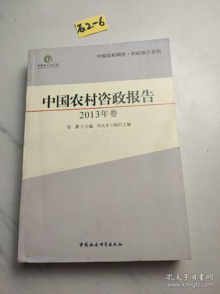 中国农村调查·咨政报告系列：中国农村咨政报告（2013年卷）