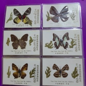 蝴蝶标本西双版纳旅游纪念共28张
