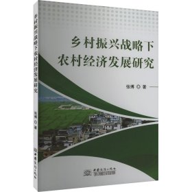 乡村振兴战略下农村经济发展研究【正版新书】