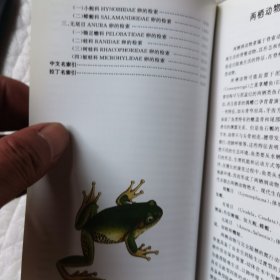 中国两栖动物图鉴
