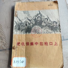 把仇恨集中在枪口上（1965年）