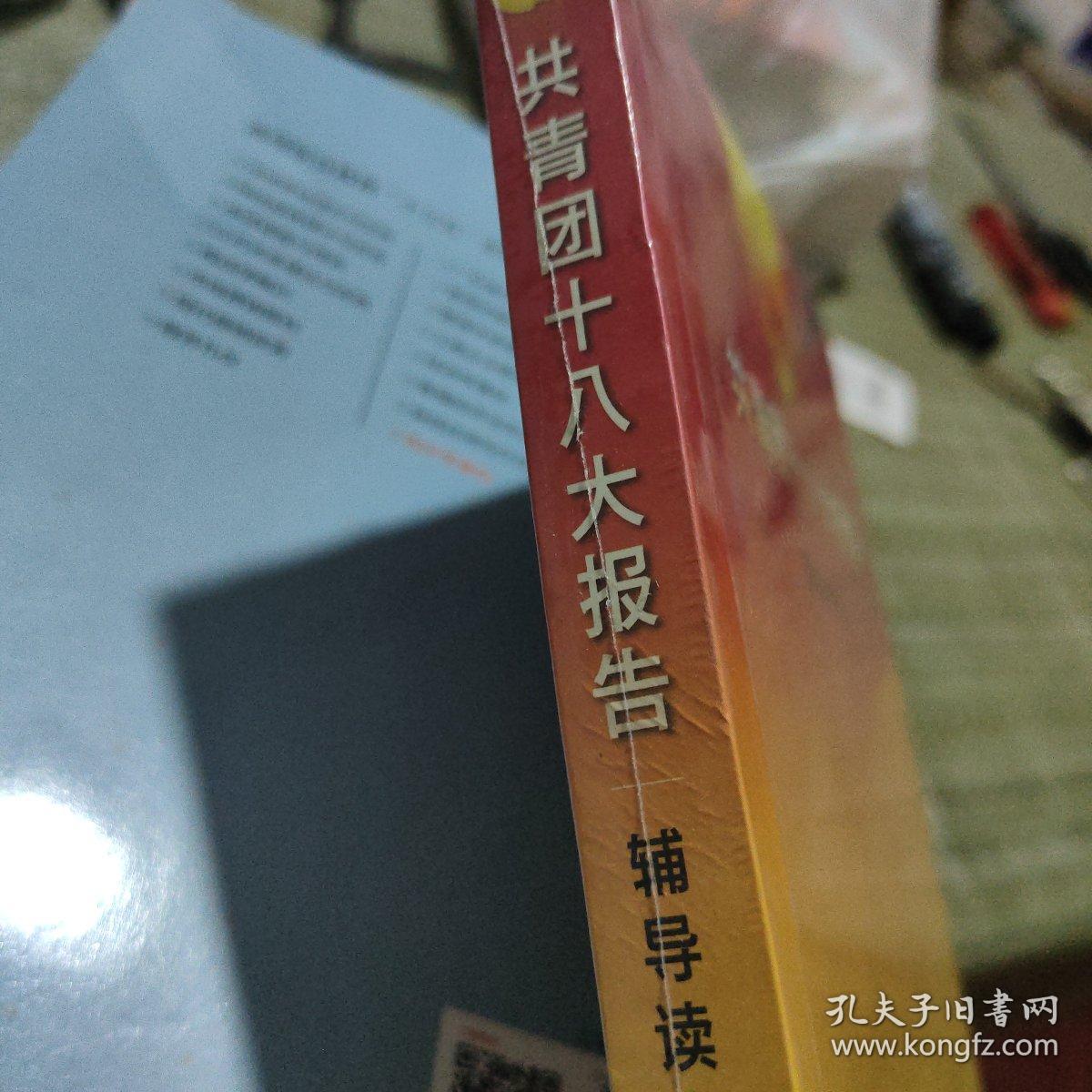 共青团十八大报告辅导读本 共青团十八大报告辅导读本编写组 著