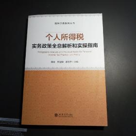 个人所得税实务政策全息解析和实操指南/税种字典系列丛书