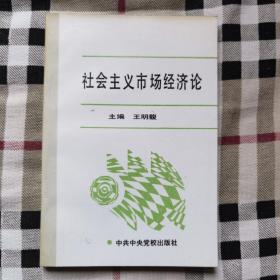 社会主义市场经济论