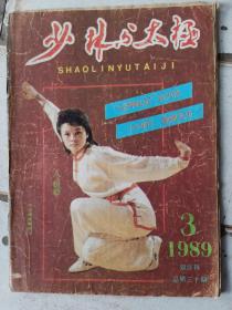 少林与太极1989.3