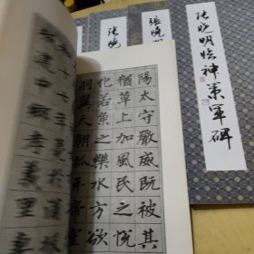 张晓明临虞恭公碑 孟法师碑 张黑女墓志 神策军碑4册(2)