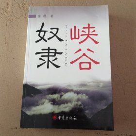 奴隶峡谷 作者高缨签名本