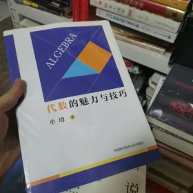 代数的魅力与技巧