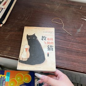 教海鸥飞翔的猫