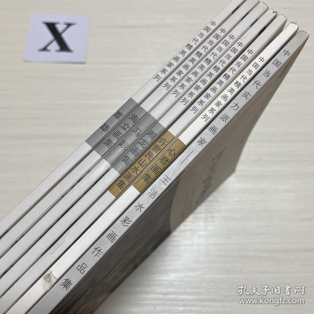 中国当代精英画家系列：马践 、海立画集 、覃雄、湘龙画集 、许曾民山水画集、心君画集、王洁水彩画作品集、一共7本合售