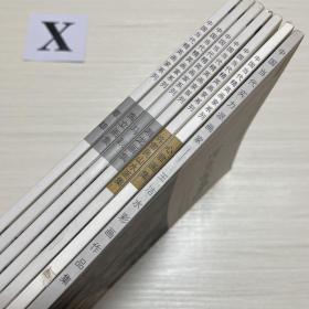 中国当代精英画家系列：马践 、海立画集 、覃雄、湘龙画集 、许曾民山水画集、心君画集、王洁水彩画作品集、一共7本合售