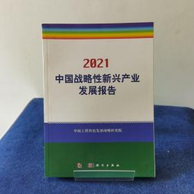 2021中国战略性新兴产业发展报告