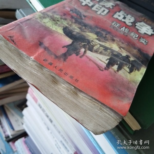 中印战争征战纪实