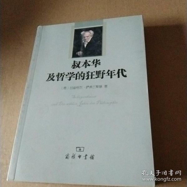 叔本华及哲学的狂野年代