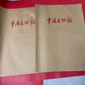 中国文物报 合订本 1999年1月—6月，7月—12月