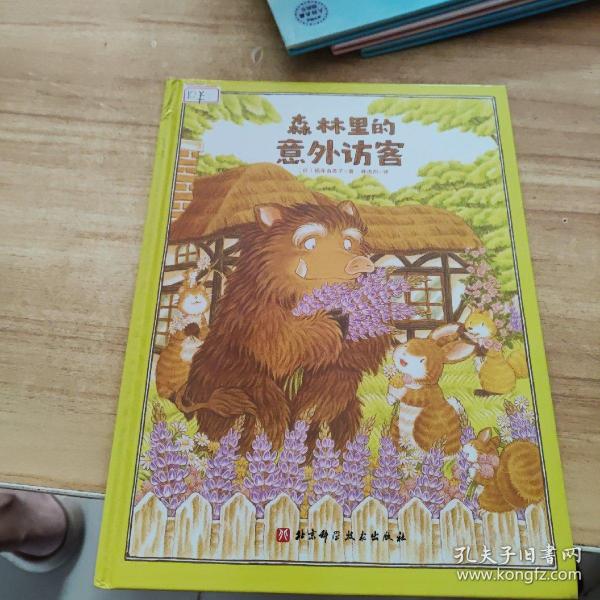 森林里的意外访客