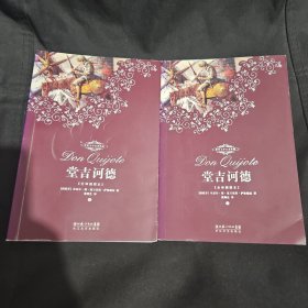 堂吉诃德 上下两册