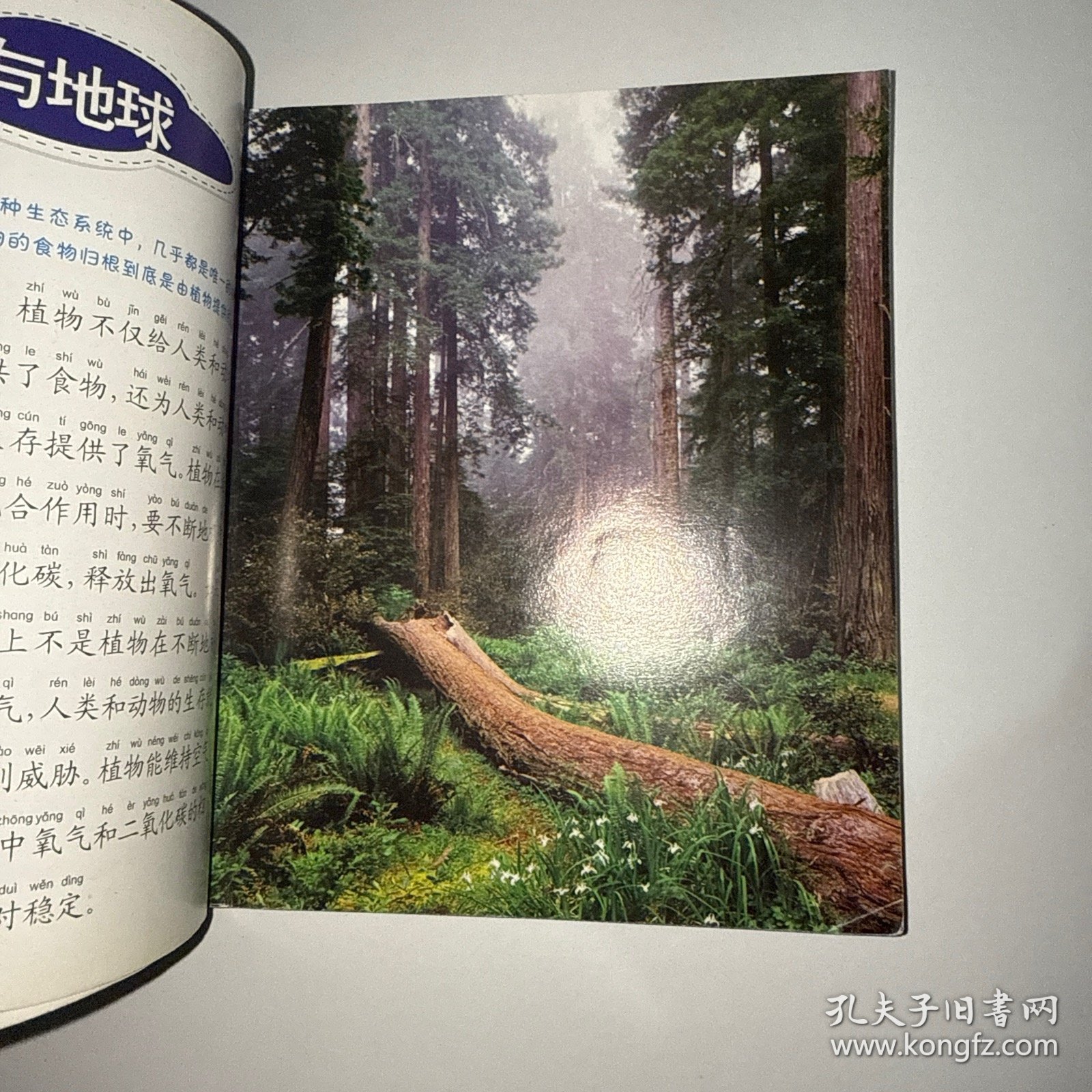 晨风童书 少儿科普馆