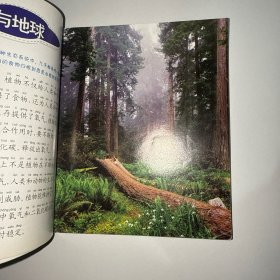 晨风童书 少儿科普馆