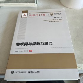 国之重器出版工程 物联网与能源互联网