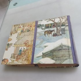 金瓶梅词话（上下册）