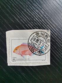 实寄封剪片——邮票：1992-4（4-1）T（贵州贵阳邮戳）