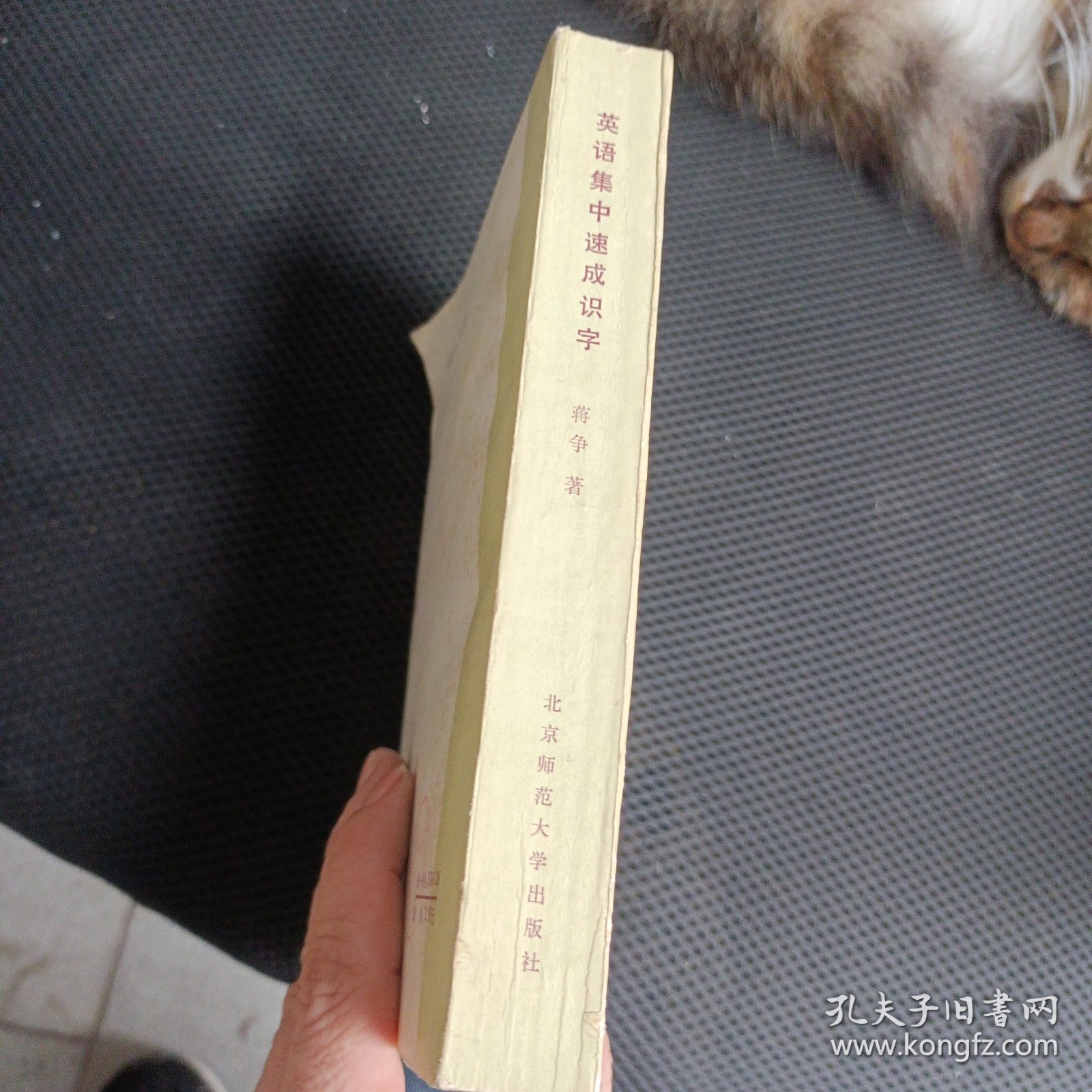 英语集中速成识字