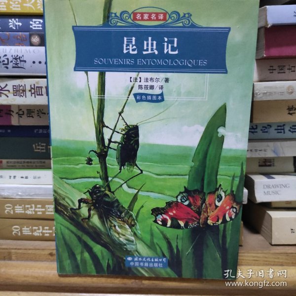 世界文学名著经典文库：昆虫记