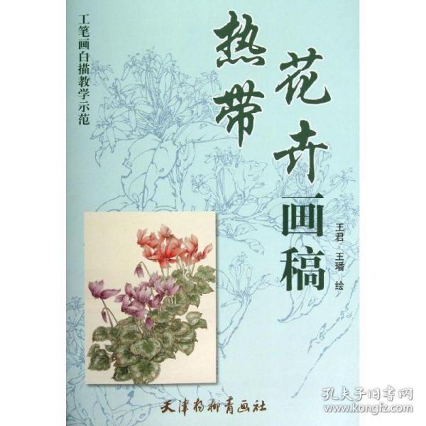 工笔画白描教学示范：热带花卉画稿