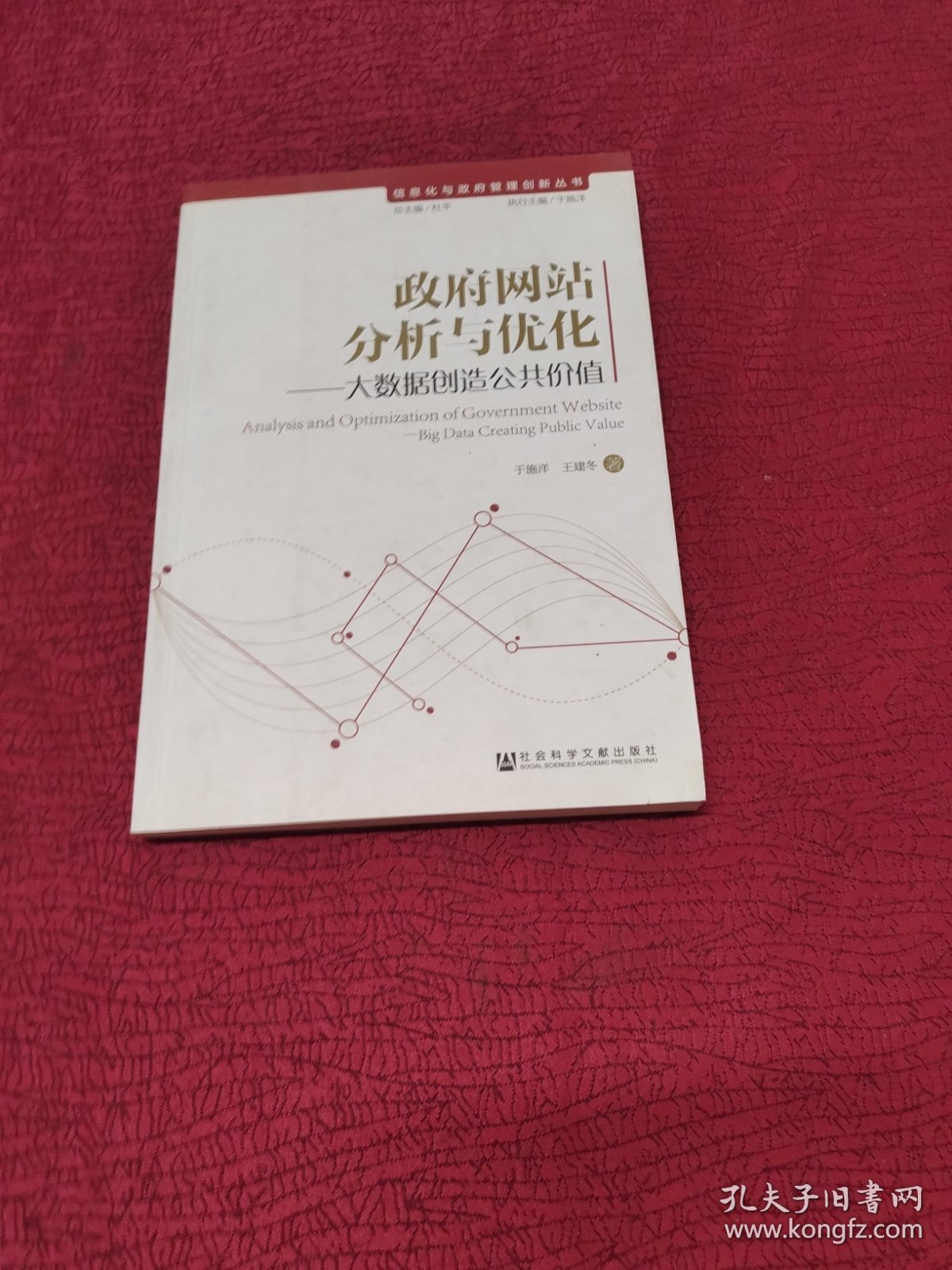 信息化与政府管理创新丛书：政府网站分析与优化——大数据创造公共价值