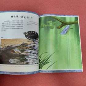可怕的动物.河流动物（英国Salariya图书公司两大支柱图书之一，畅销10年，单本销量过百万、全球22个版本，让孩子体验神奇的X光透视效果）