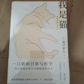 我是猫