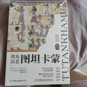 埃及法老图坦卡蒙：解码法老王陵宝藏下的传奇秘史，钩织3300年前的古埃及王朝