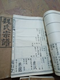 魏氏宗谱（27册合售）