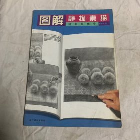 图解静物素描——绘画跟我学