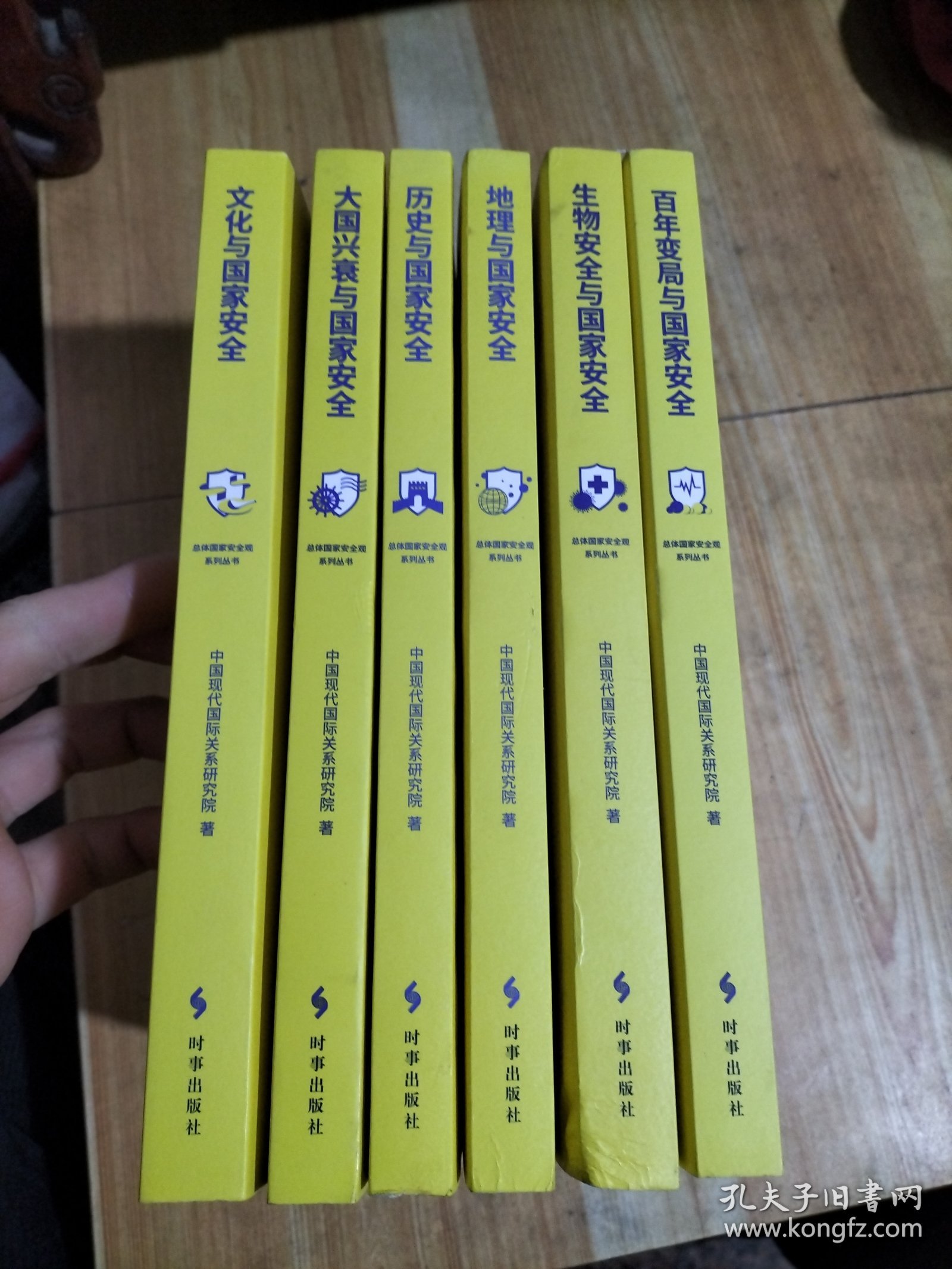 总体国家安全观系列丛书(全六册)