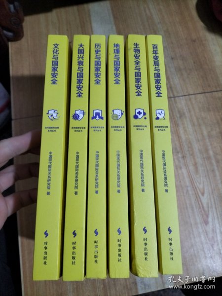 总体国家安全观系列丛书(全六册)