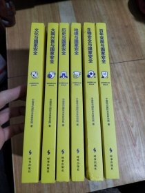 总体国家安全观系列丛书(全六册)