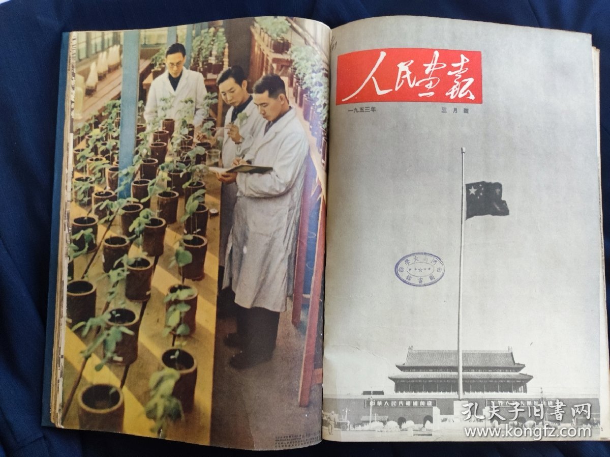 人民画报1953年合订本（整套卖）