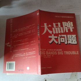 大品牌大问题