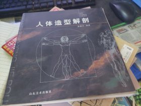 人体造型解剖