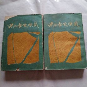 清朝全史演义上下（下册前几页有水印）