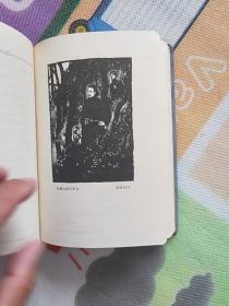 60年代笔记本:红岩日记