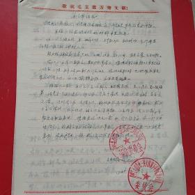 1969年4月9日，检举揭发类材料 5张，河南省林县（今林州市）。（生日票据，历史档案，手写资料类收据）。（33-4）