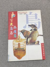 百灵鸟与画眉鸟