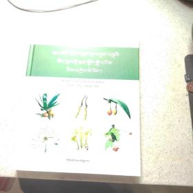 青海冬虫夏草产区要用植物图鉴